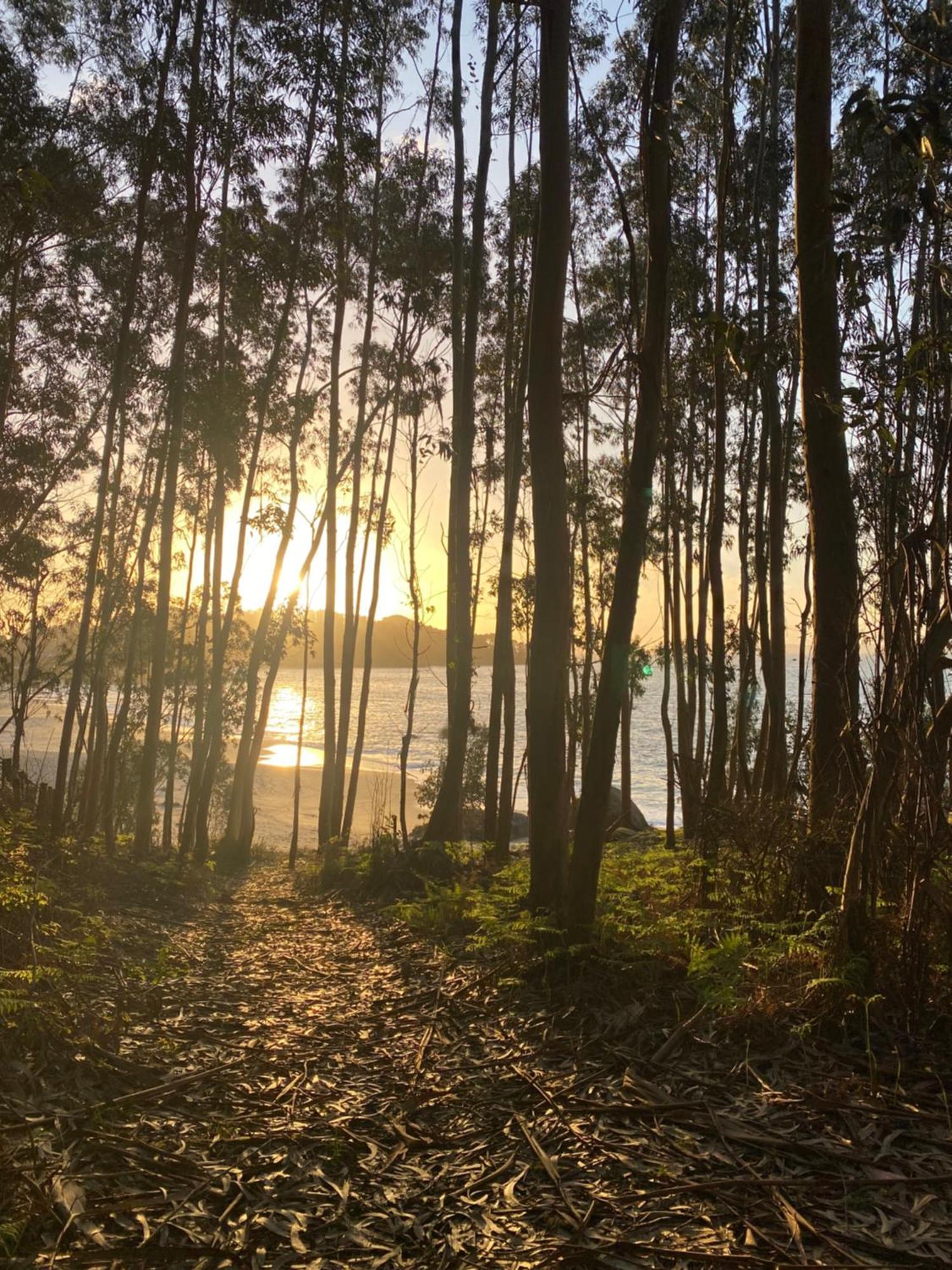 Rincon De Lagos, Bueu Pontevedra Zewnętrze zdjęcie